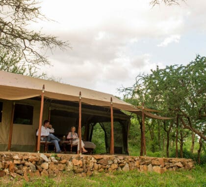 mwiba-tented-camp-12066