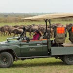 Emocionantes safaris.