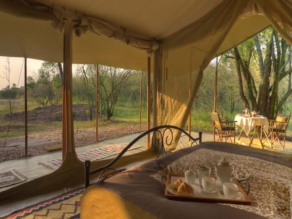 The open and simple but luxury tents give you the feeling of being in middle of nature
