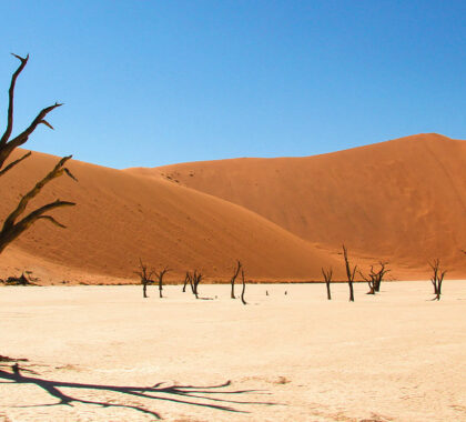 namib-desert1