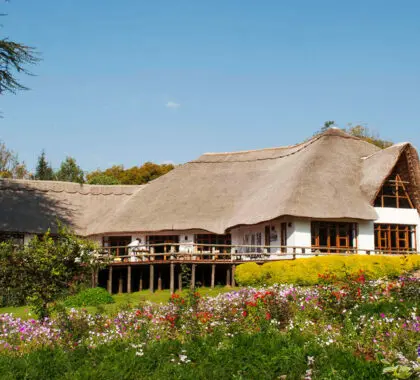 ngorongoro-farm-house-4376