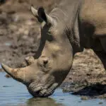 Exceptional wildlife encounters.