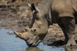 Exceptional wildlife encounters.