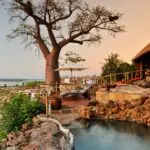 Ngoma's signature baobab tree stands sentinel over the lodge's swimming pool.
