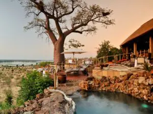 Ngoma's signature baobab tree stands sentinel over the lodge's swimming pool.
