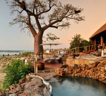 El característico baobab de Ngoma vigila la piscina del lodge.