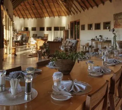 Deléitese con una comida deliciosa y disfrute de las vistas al océano