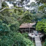 Luxury deep in the Ndzehi Forest.