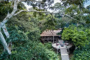 Luxury deep in the Ndzehi Forest.