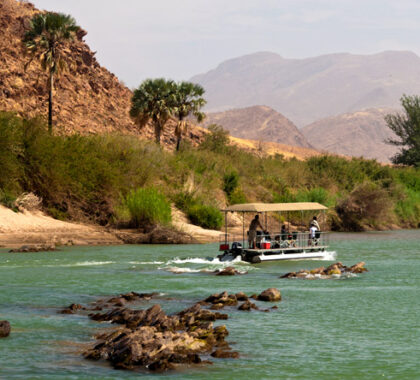 Most of the region's wildlife is concentrated along the Kunene River, making a boat cruise a must-do activity.