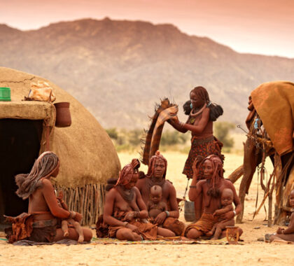 Fascinating cultural visits to the region's indigenous Himba people can be arranged through the camp.