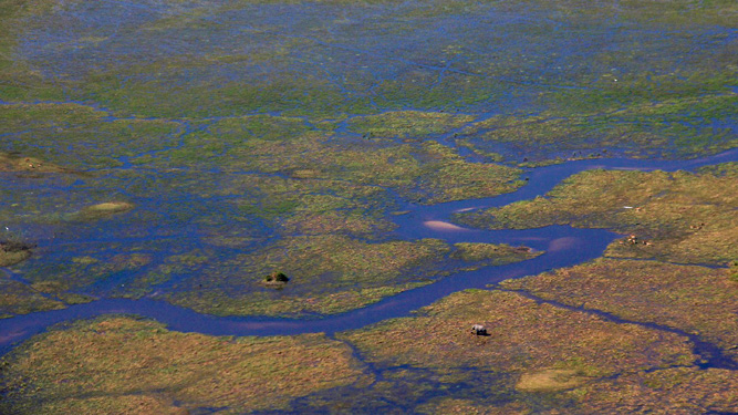 The Okavango From the Inside