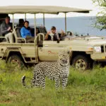 Para los que buscan animales salvajes, los safaris en la Reserva Natural de Okonjima prometen sorprender | Okonjima Plains Camp