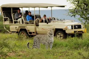 Para los que buscan animales salvajes, los safaris en la Reserva Natural de Okonjima prometen sorprender | Okonjima Plains Camp