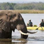 Safari en canoa.