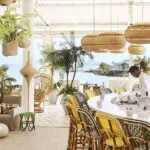 El Palm Court cuenta con estaciones de cocina en vivo con mostradores para sentarse, encuentros con chefs...