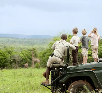 Niños en un safari.