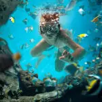 Practicar submarinismo.