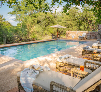 Take a refreshing dip after an early morning  game drive. 
