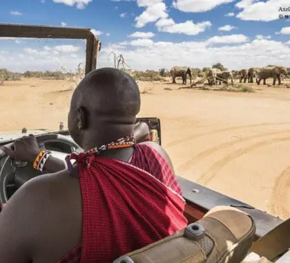 porini-amboseli-camp-gallery-image-26-14450030491