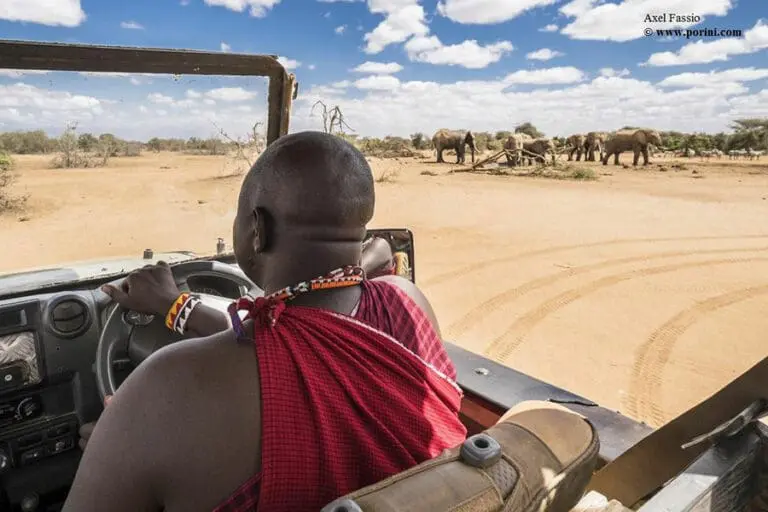 Game drives with knowledgeable guides.