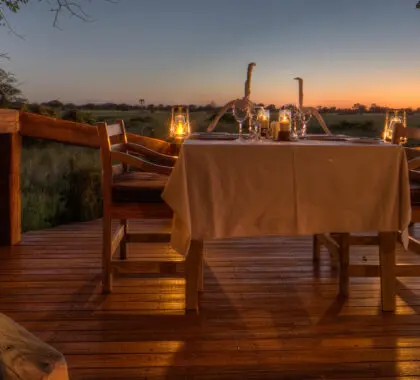 top-safari-marcas-11