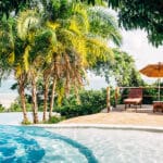 Fundu Lagoon ofrece a los huéspedes una auténtica experiencia en una isla tropical, con palmeras, tumbonas y piscina junto al mar.