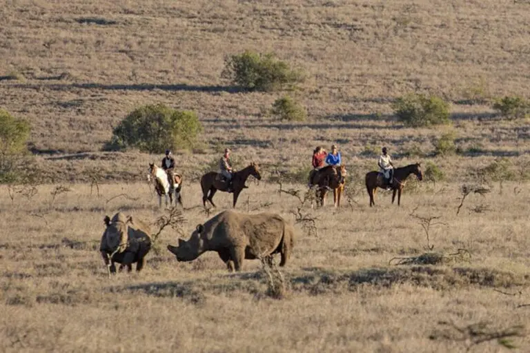 Horse riding safaris.