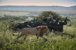 Great game viewing. 