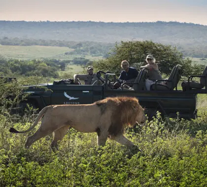 Great game viewing. 