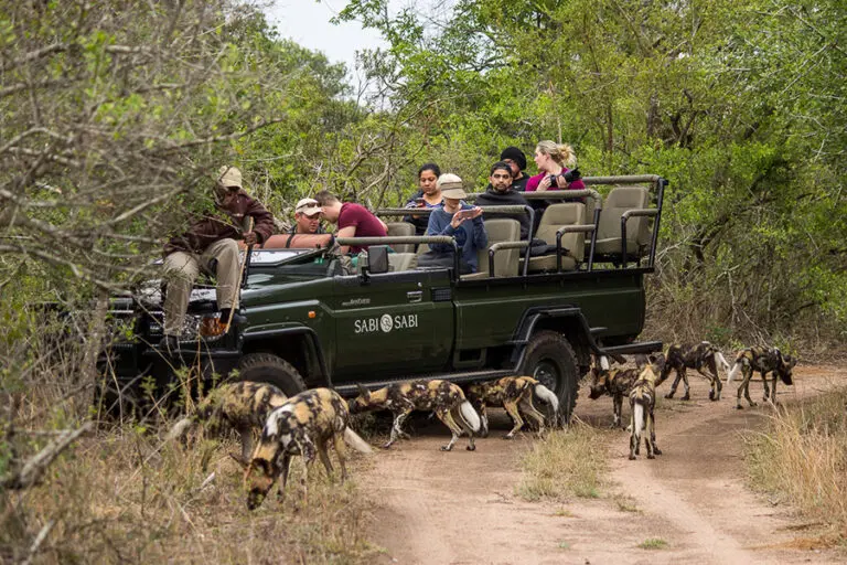 Game drives through Sabi Sands.