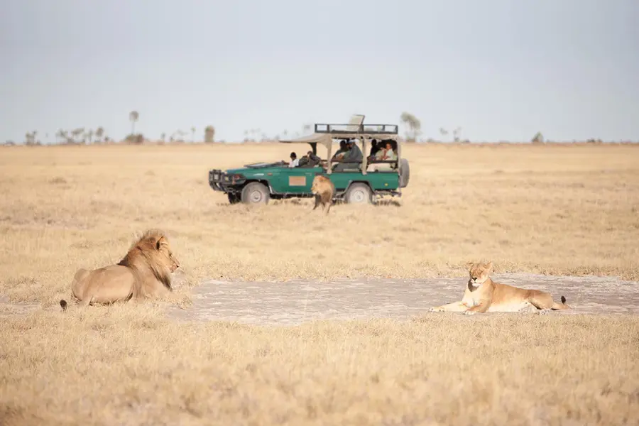 san-or-jacks-camp-makgadigadi-camp-activity-game-drive