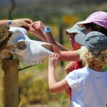 Niños de safari.