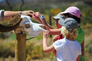 Niños de safari.