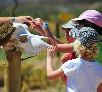 Niños de safari.