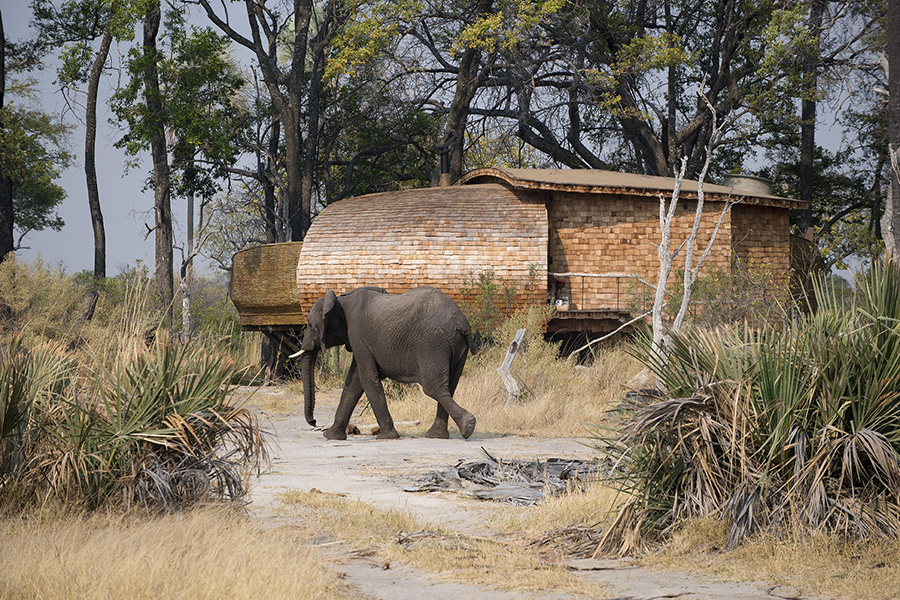 sandibe-okavango-safari-lodge-suite-exterior