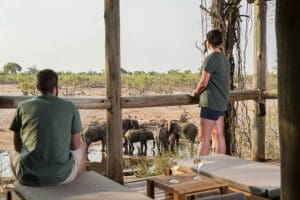 Disfrute de safaris en butaca desde la comodidad de su habitación en el Savute Safari Lodge.