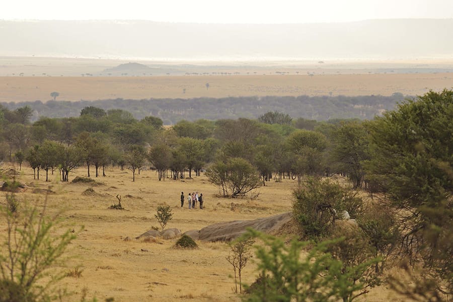 Safaris a pie.