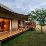 Sayari boasts tented suites on raised wooden decks with private patios for non-stop game viewing.