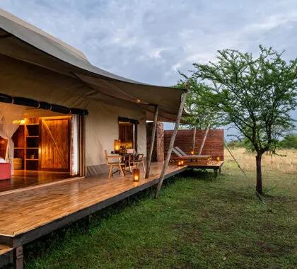 Sayari boasts tented suites on raised wooden decks with private patios for non-stop game viewing.