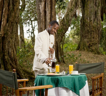 Start the day a different way & enjoy breakfast in the cool shade of Mount Kenya's forests.