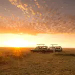 Safari por el Serengeti.