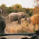 Spot the wildest animals on exciting game drives.