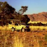 Explore the desert in a 4X4 with your knowledgeable guide.
