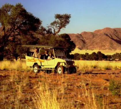 Erkunden Sie die Wüste in einem Geländewagen mit Ihrem sachkundigen Führer.