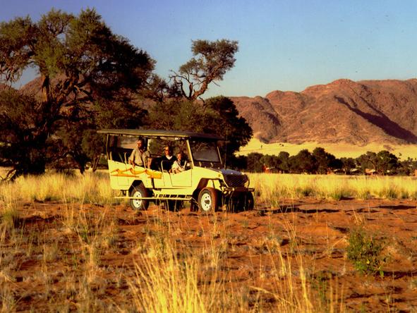 Explore the desert in a 4X4 with your knowledgeable guide.
