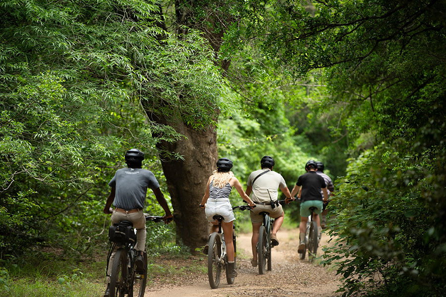 south-africa-phinda-private-game-reserve-e-bike-sand-forest_1