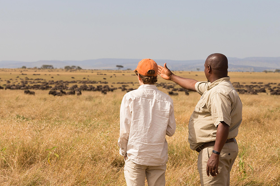 The Wildebeest Migration is the primary focus of your safari.
