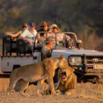 De rastrear leones en la sabana de Zambia a tomar el sol en las arenas blancas de Zanzíbar o Mauricio | Tafika Camp