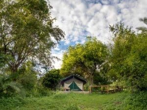 Todas las suites del Ruzizi Tented Camp se encuentran en completa intimidad dentro de los frondosos bosques del Parque Nacional de Akagera.